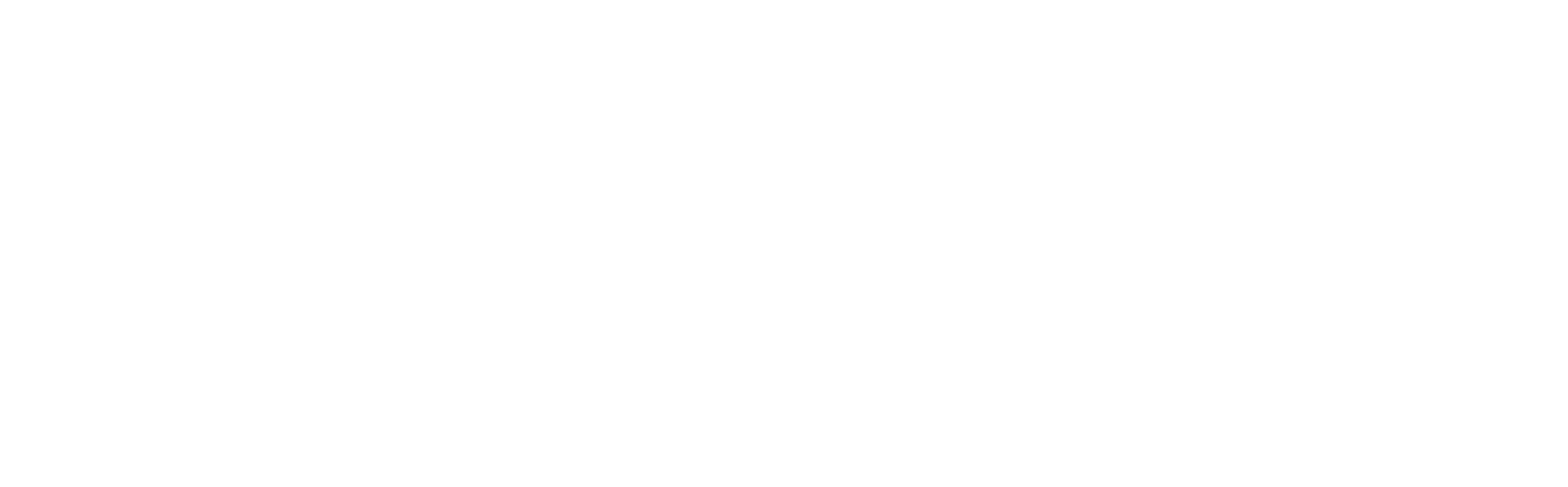 HEROS bezpečnostní agentura